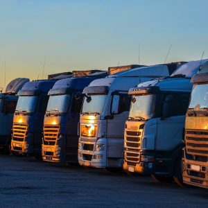 Trasnport Consultancy to deliver optimal operations