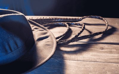 The Bullwhip Effect…Is your business being ‘lashed’