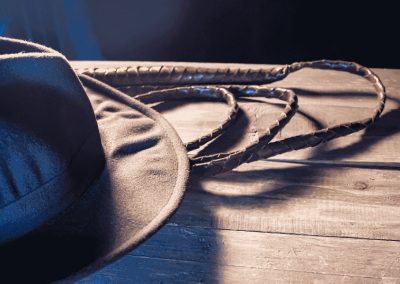 The Bullwhip Effect…Is your business being ‘lashed’
